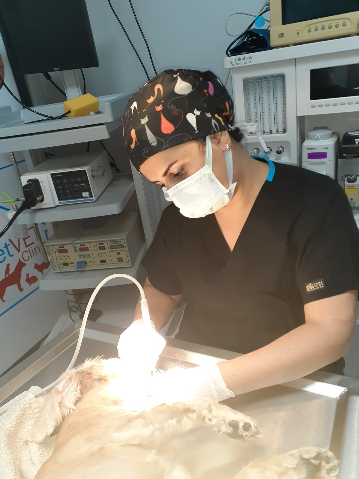 diş taşı temizliği