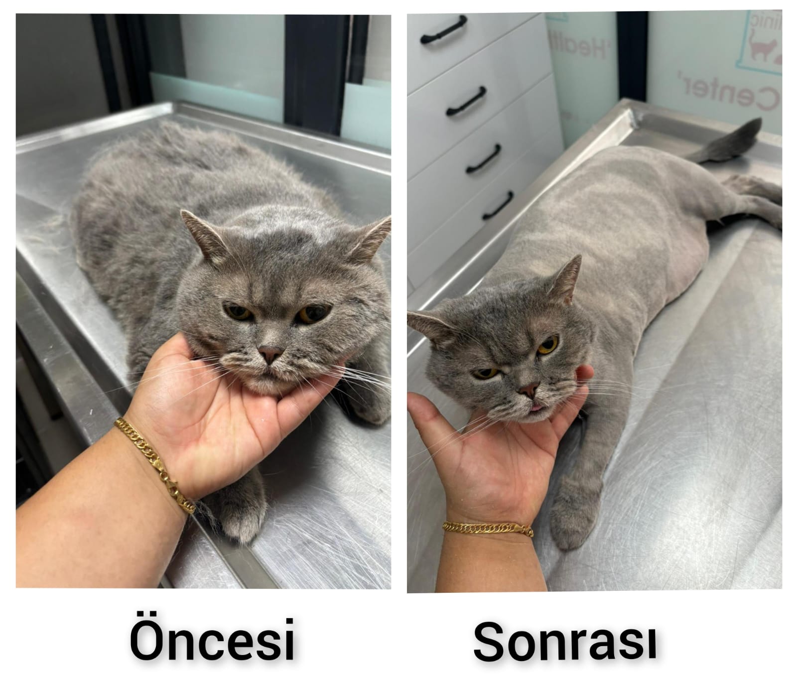 TIRAŞ